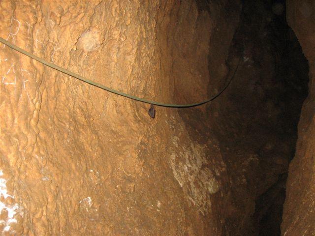 marec 08 046
